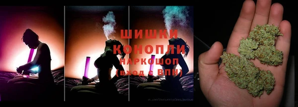 мет Алексин
