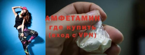 мет Алексин