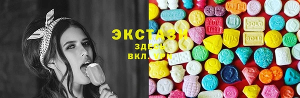 мет Алексин
