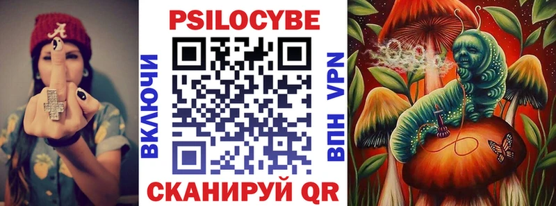 Галлюциногенные грибы прущие грибы  Багратионовск 