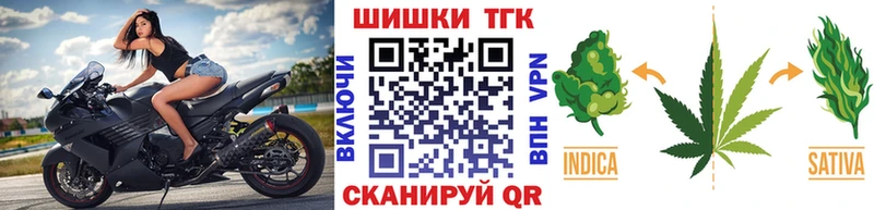 Бошки марихуана MAZAR  как найти наркотики  Багратионовск 